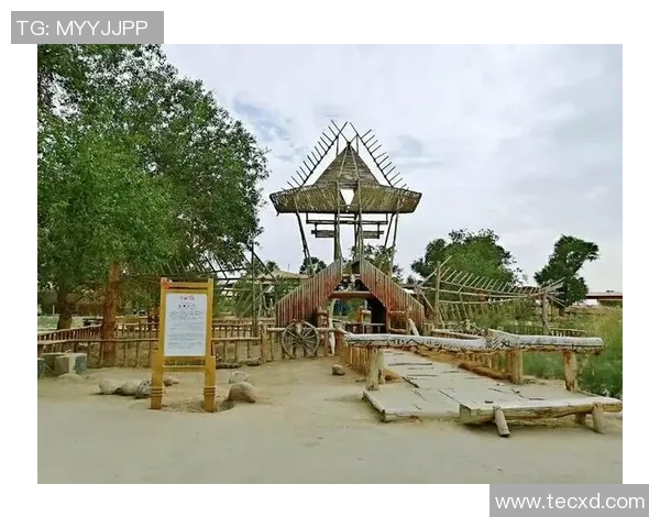 探寻足球明星足迹新疆之行的传奇故事与回忆