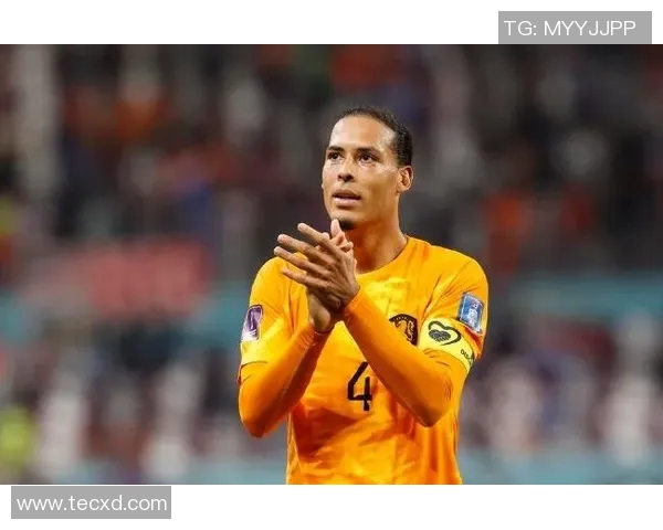 荷兰足球明星范迪克的辉煌历程与对球队的深远影响 荷兰足球明星范迪克的辉煌历程与对球队的深远影响